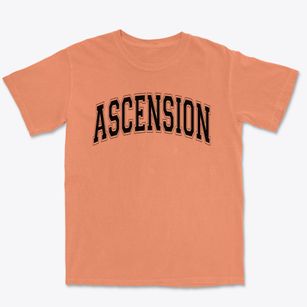 Ascension Parish Varsity Arch Premium Heavyweight T-shirt