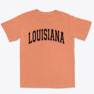 Louisiana Elementary School Varsity Arch Premium Heavyweight T-shirt