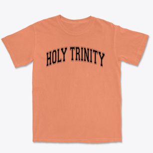 Holy Trinity High School Varsity Arch Premium Heavyweight T-shirt