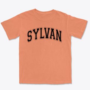 Sylvan Elementary School Varsity Arch Premium Heavyweight T-shirt