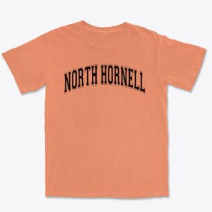 North Hornell Primary School Varsity Arch Premium Heavyweight T-shirt