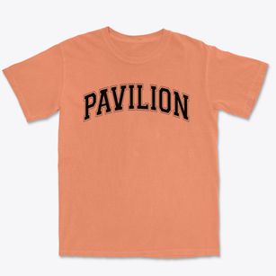 Pavilion Central School Varsity Arch Premium Heavyweight T-shirt