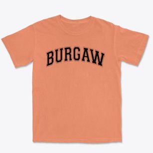Burgaw Elementary School Varsity Arch Premium Heavyweight T-shirt