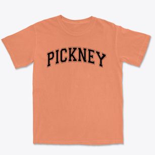 Pickney Academy Varsity Arch Premium Heavyweight T-shirt