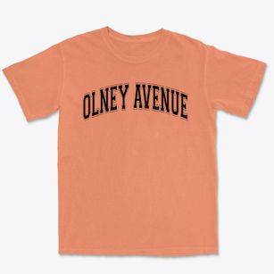 Olney Avenue Elementary School Varsity Arch Premium Heavyweight T-shirt