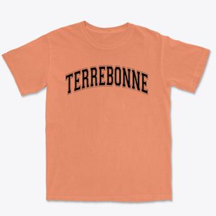 Terrebonne Community School Varsity Arch Premium Heavyweight T-shirt
