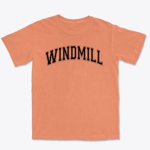 Windmill Elementary School Varsity Arch Premium Heavyweight T-shirt