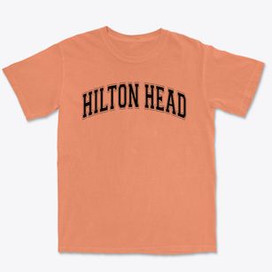 Hilton Head Elementary School Varsity Arch Premium Heavyweight T-shirt