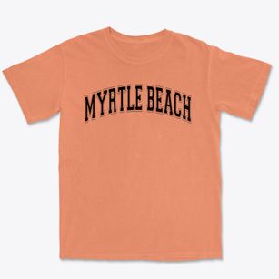 Myrtle Beach Elementary School Varsity Arch Premium Heavyweight T-shirt