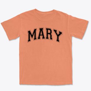 Mary Mcleod Bethune Elementary School Varsity Arch Premium Heavyweight T-shirt