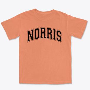 Norris Middle School Varsity Arch Premium Heavyweight T-shirt