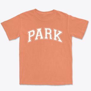 Park Elementary School Varsity Arch Premium Heavyweight T-shirt