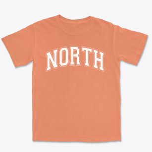 North Stratfield Elementary School Varsity Arch Premium Heavyweight T-shirt