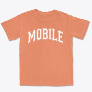 Mobile Elementary School Varsity Arch Premium Heavyweight T-shirt