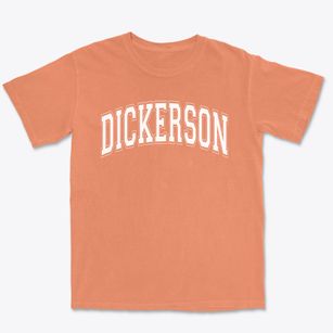 Dickerson School Varsity Arch Premium Heavyweight T-shirt