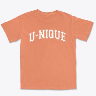 U-nique All Stars Academy Varsity Arch Premium Heavyweight T-shirt
