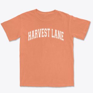 Harvest Lane Christian Academy Varsity Arch Premium Heavyweight T-shirt