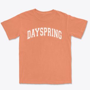 Dayspring Christian Academy Varsity Arch Premium Heavyweight T-shirt