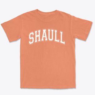 Shaull Elementary School Varsity Arch Premium Heavyweight T-shirt