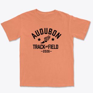 Audubon Middle School Track and Field Premium Heavyweight T-shirt