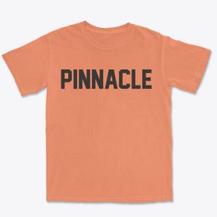 Pinnacle North Carolina Classic Block Premium Heavyweight T-shirt