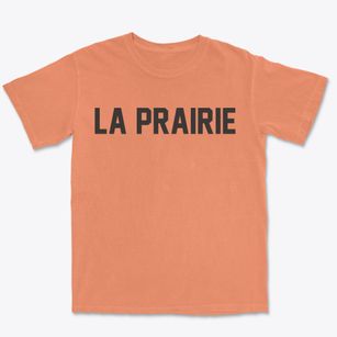 La Prairie Wisconsin Classic Block Premium Heavyweight T-shirt