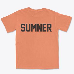 Sumner Nebraska Classic Block Premium Heavyweight T-shirt
