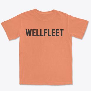 Wellfleet Nebraska Classic Block Premium Heavyweight T-shirt