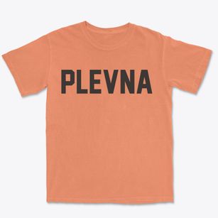 Plevna Missouri Classic Block Premium Heavyweight T-shirt