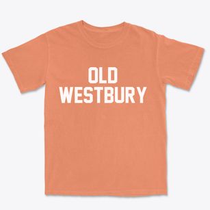 Old Westbury New York Classic Block Premium Heavyweight T-shirt