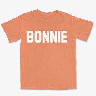 Bonnie Illinois Classic Block Premium Heavyweight T-shirt