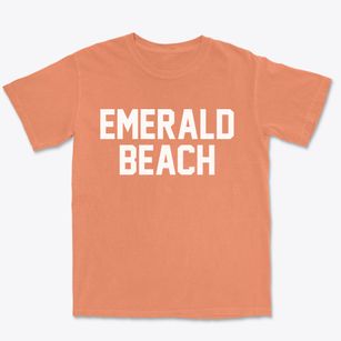 Emerald Beach Missouri Classic Block Premium Heavyweight T-shirt