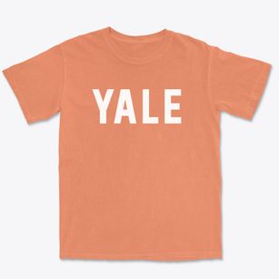 Yale South Dakota Classic Block Premium Heavyweight T-shirt