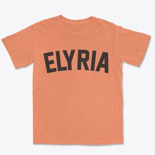 Elyria Ohio Classic Curve Premium Heavyweight T-shirt