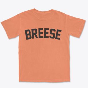 Breese Illinois Classic Curve Premium Heavyweight T-shirt