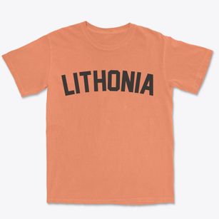 Lithonia Georgia Classic Curve Premium Heavyweight T-shirt