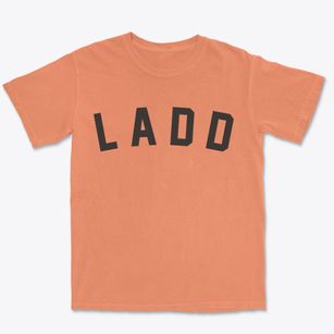 Ladd Illinois Classic Curve Premium Heavyweight T-shirt