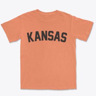 Kansas Illinois Classic Curve Premium Heavyweight T-shirt