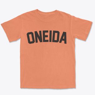 Oneida Illinois Classic Curve Premium Heavyweight T-shirt