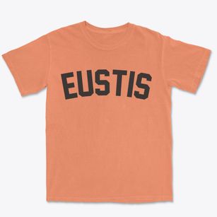 Eustis Nebraska Classic Curve Premium Heavyweight T-shirt