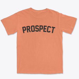 Prospect New York Classic Curve Premium Heavyweight T-shirt