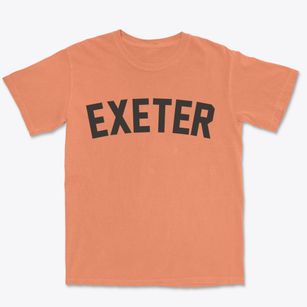 Exeter Illinois Classic Curve Premium Heavyweight T-shirt