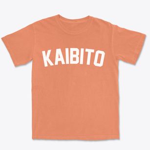 Kaibito Arizona Classic Curve Premium Heavyweight T-shirt