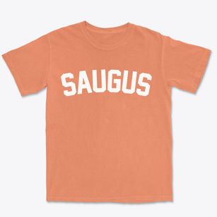 Saugus Massachusetts Classic Curve Premium Heavyweight T-shirt