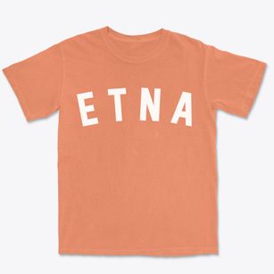 Etna Ohio Classic Curve Premium Heavyweight T-shirt