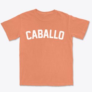 Caballo New Mexico Classic Curve Premium Heavyweight T-shirt