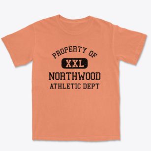 Northwood Ohio Athletic Dept Premium Heavyweight T-shirt