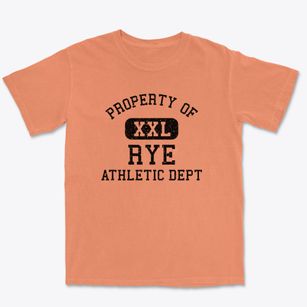 Rye New York Athletic Dept Premium Heavyweight T-shirt