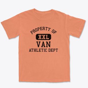 Van Texas Athletic Dept Premium Heavyweight T-shirt
