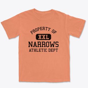 Narrows Virginia Athletic Dept Premium Heavyweight T-shirt